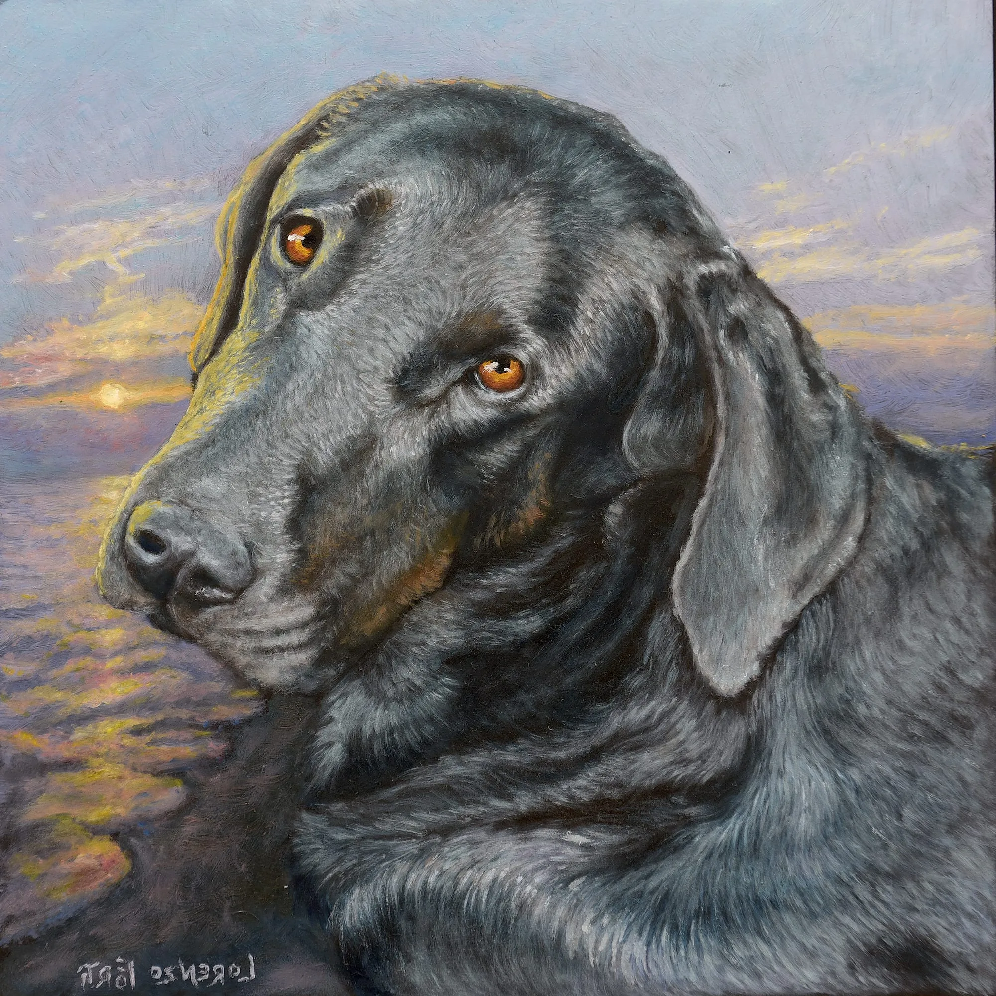 Un labrador nero davanti al mare al tramonto