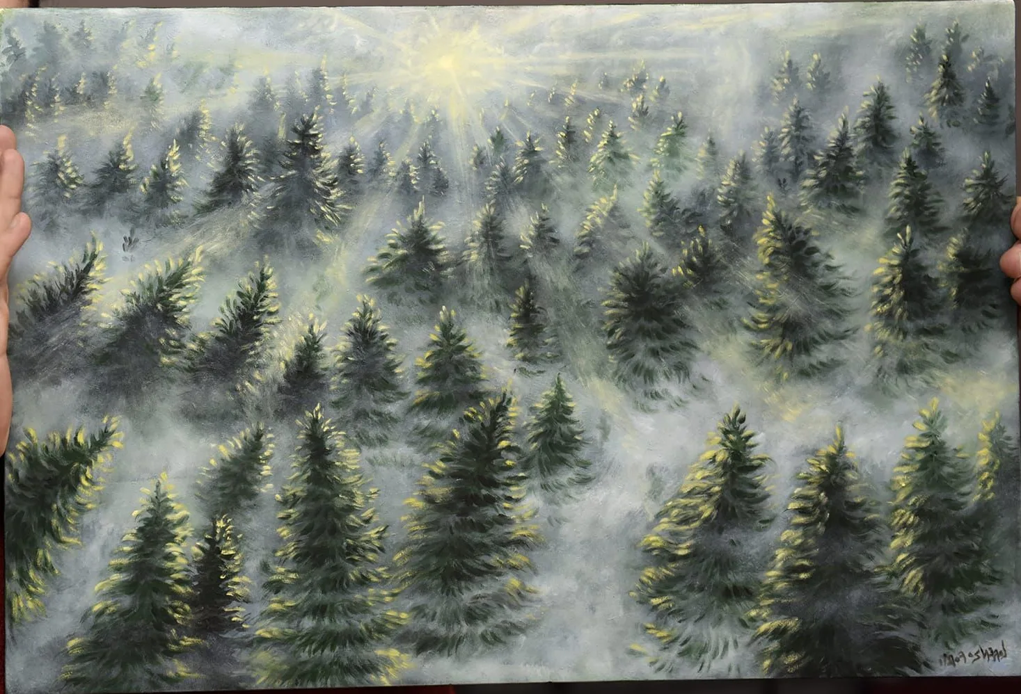 Abeti nella nebbia sotto un sole velato