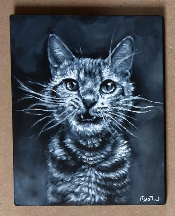 Ritratto di gatto tigrato su fondo blu scuro