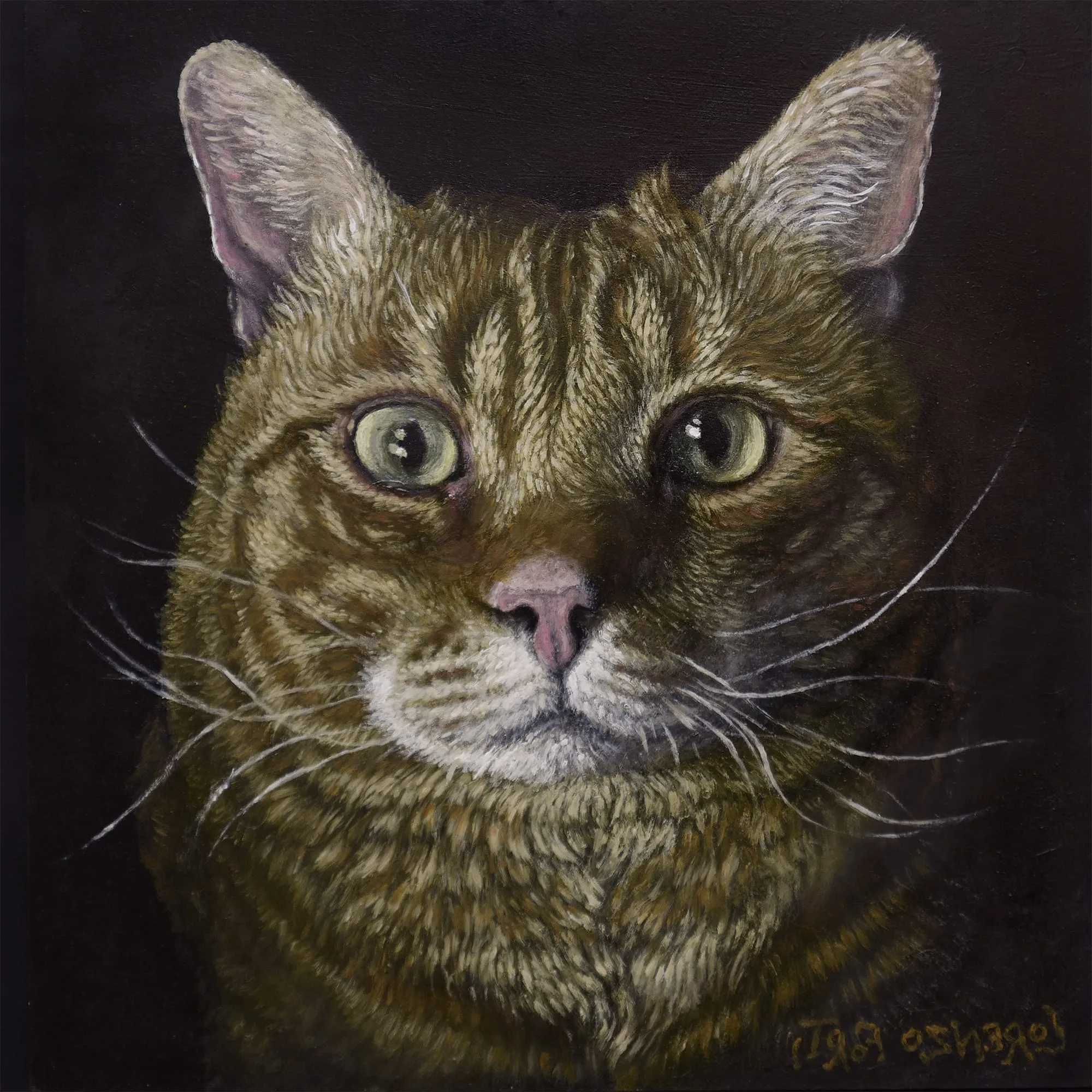 Ritratto di un gatto tigrato