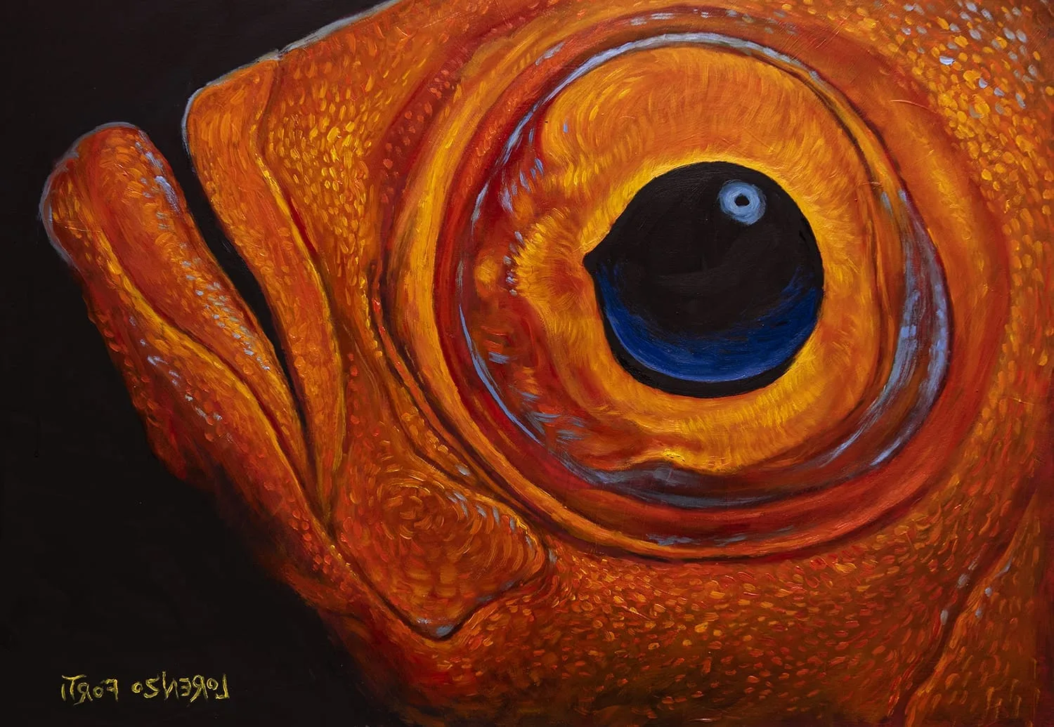 Primo piano dell'occhio di un pesce arancione