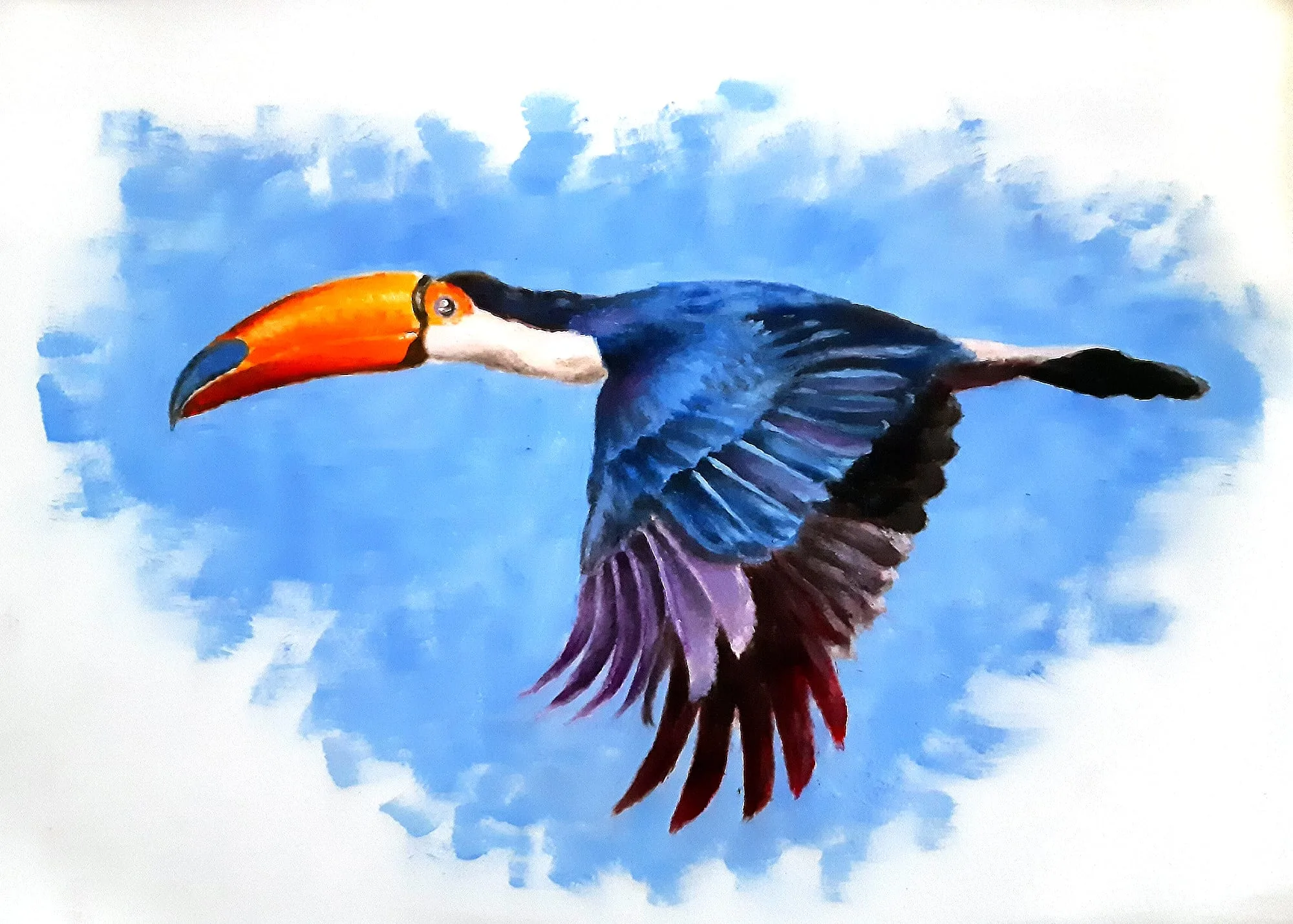 Un tucano in volo nel cielo azzurro